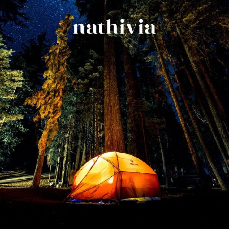 Ascolta il tuo Daimon